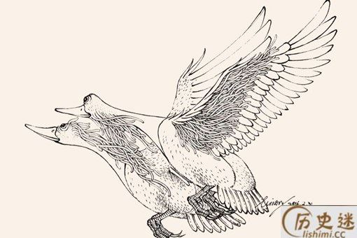 比翼鸟有哪些寓意
