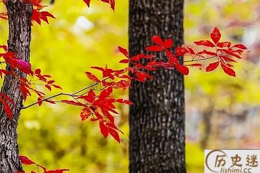 成语皮里阳秋和皮里春秋的区别