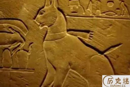 古埃及文明为何崇拜猫