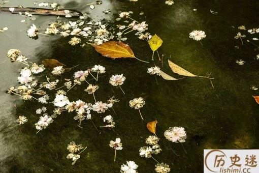 古人作诗为何喜欢伤春悲秋