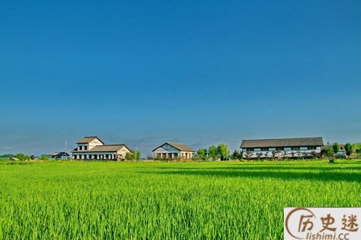 历史悠久的壮族稻作文化是怎样的