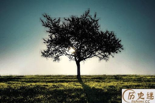 锡伯族的祈年树是什么