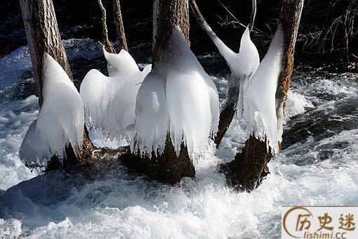 寒冬腊月的冬是指农历几月