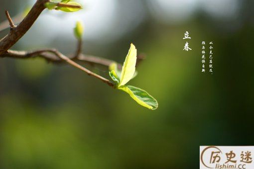 双春年是好是坏一年多少天