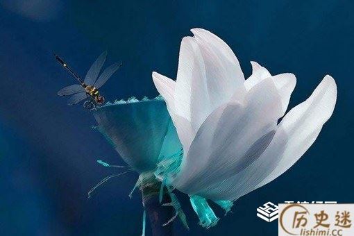 处暑如何养生吃什么