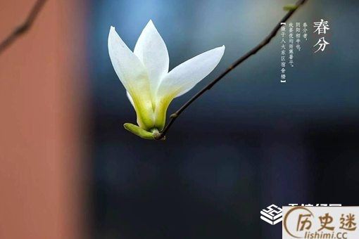 春分节气的含义是什么