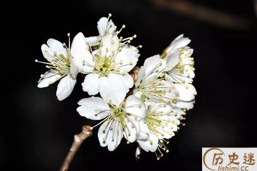 古人作诗为何喜欢伤春悲秋