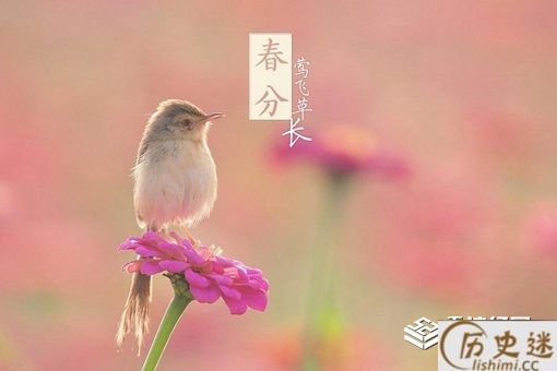 春分节气的含义是什么