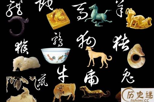 来龙去脉是什么生肖答案揭秘