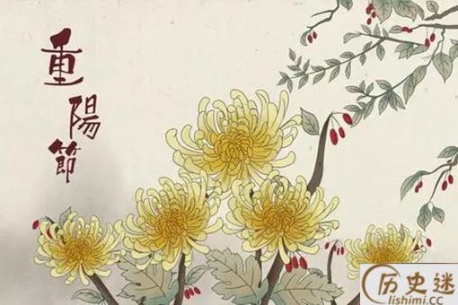 重阳节的活动有哪些