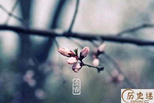 双春年是好是坏一年多少天