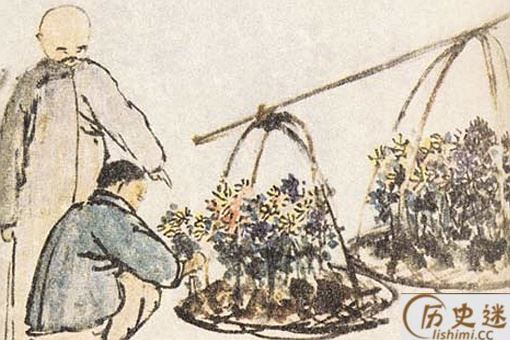 重阳节的活动有哪些
