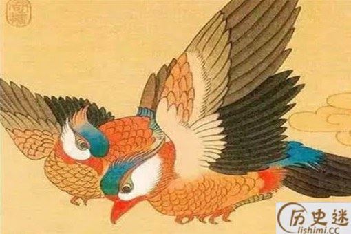 比翼鸟有哪些寓意