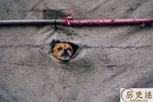 尸位素餐蝇营狗苟什么意思