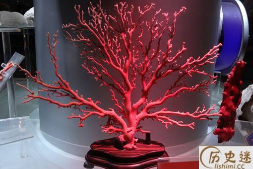红珊瑚为什么越来越贵