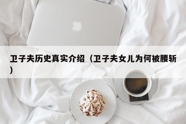 卫子夫历史真实介绍（卫子夫女儿为何被腰斩）