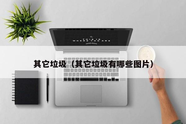 其它垃圾（其它垃圾有哪些图片）