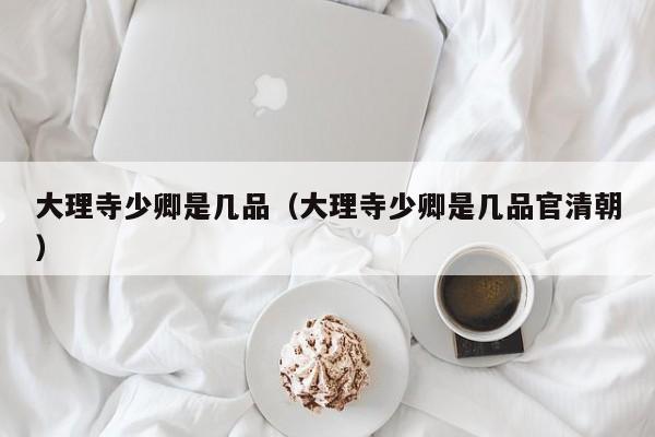 大理寺少卿是几品（大理寺少卿是几品官清朝）