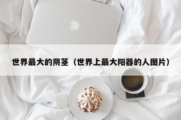 世界最大的阴茎（世界上最大阳器的人图片）