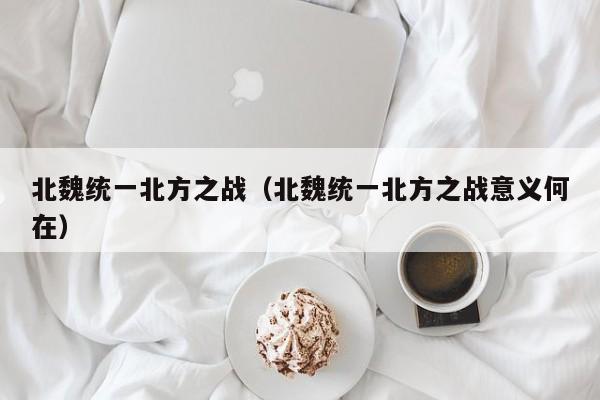 北魏统一北方之战（北魏统一北方之战意义何在）
