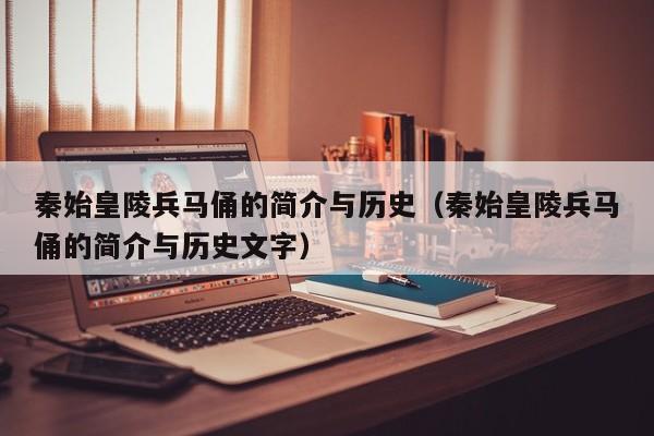 秦始皇陵兵马俑的简介与历史（秦始皇陵兵马俑的简介与历史文字）