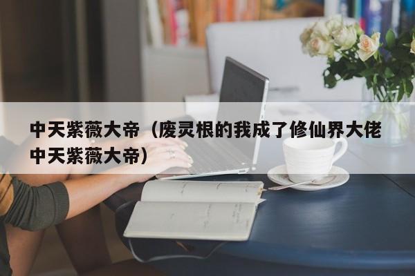 中天紫薇大帝（废灵根的我成了修仙界大佬 中天紫薇大帝）
