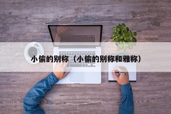 小偷的别称（小偷的别称和雅称）
