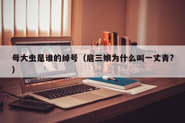 母大虫是谁的绰号（扈三娘为什么叫一丈青?）