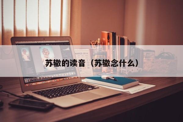 苏辙的读音（苏辙念什么）