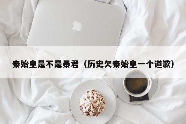 秦始皇是不是暴君（历史欠秦始皇一个道歉）