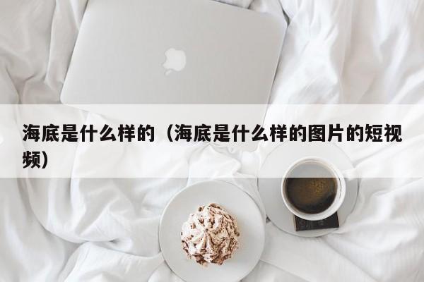 海底是什么样的（海底是什么样的图片的短视频）