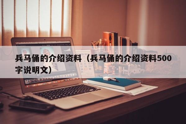 兵马俑的介绍资料（兵马俑的介绍资料500字说明文）