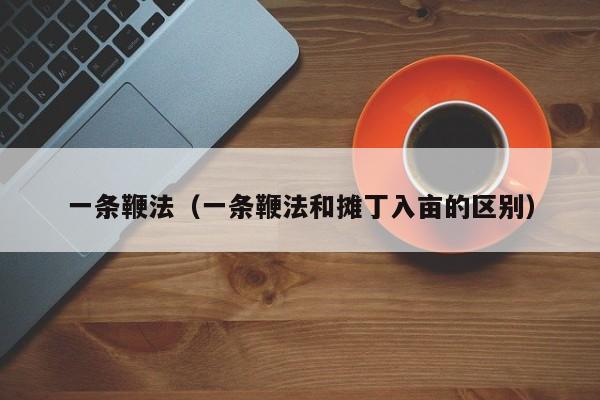 一条鞭法（一条鞭法和摊丁入亩的区别）