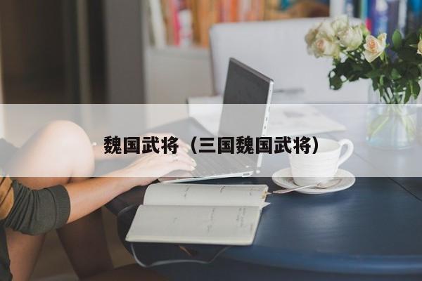 魏国武将（三国魏国武将）