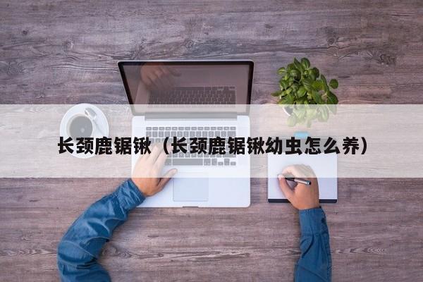 长颈鹿锯锹（长颈鹿锯锹幼虫怎么养）