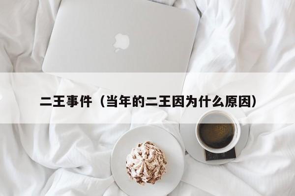 二王事件（当年的二王因为什么原因）
