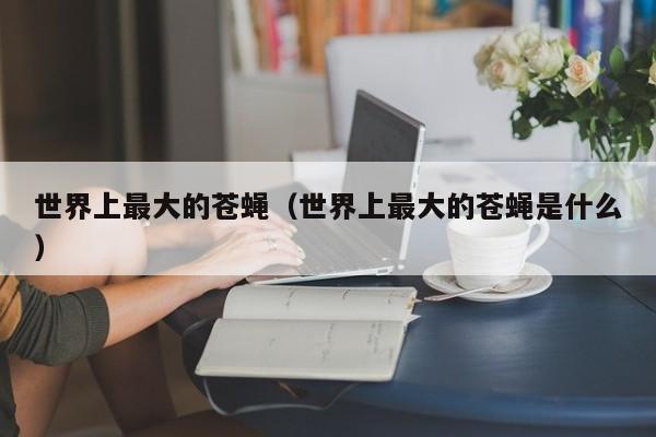 世界上最大的苍蝇（世界上最大的苍蝇是什么）