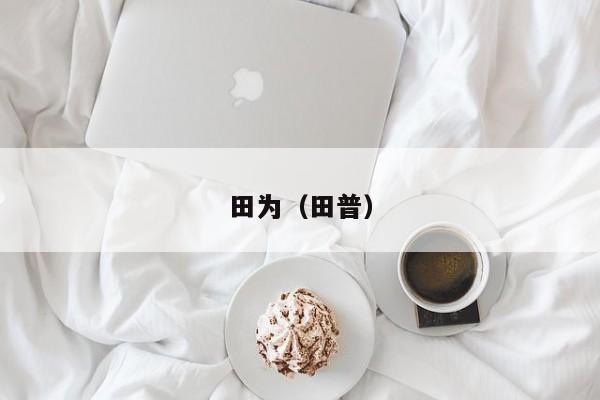 田为（田普）