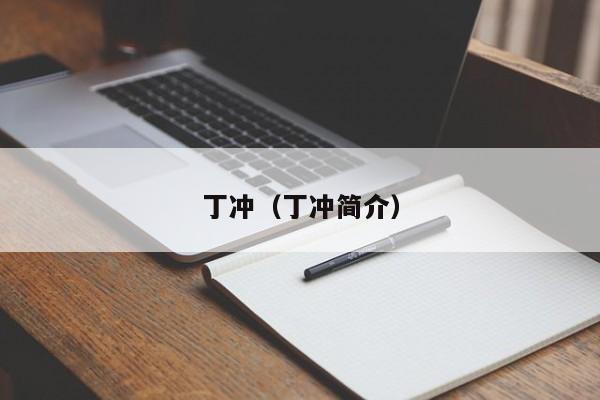 丁冲（丁冲简介）