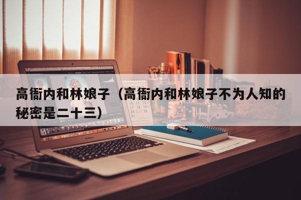 高衙内和林娘子（高衙内和林娘子不为人知的秘密是二十三）