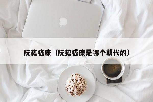 阮籍嵇康（阮籍嵇康是哪个朝代的）