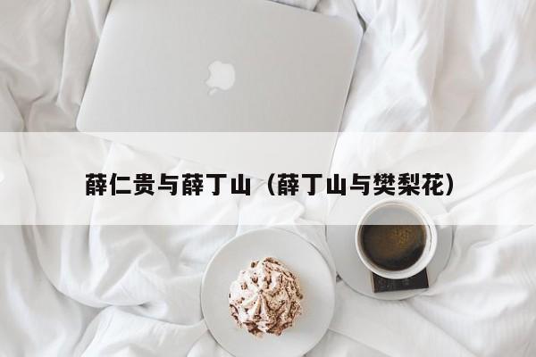 薛仁贵与薛丁山（薛丁山与樊梨花）