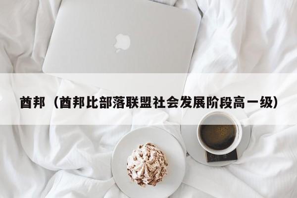 酋邦（酋邦比部落联盟社会发展阶段高一级）