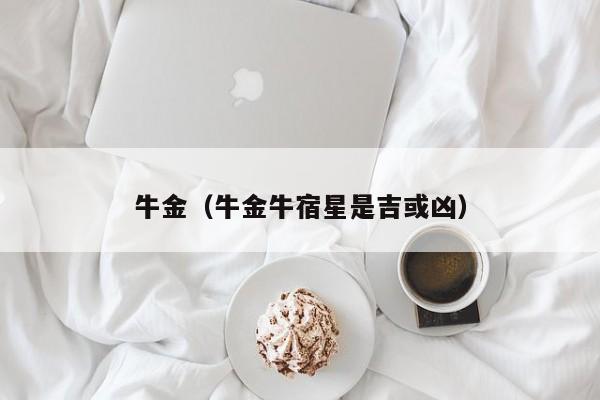 牛金（牛金牛宿星是吉或凶）