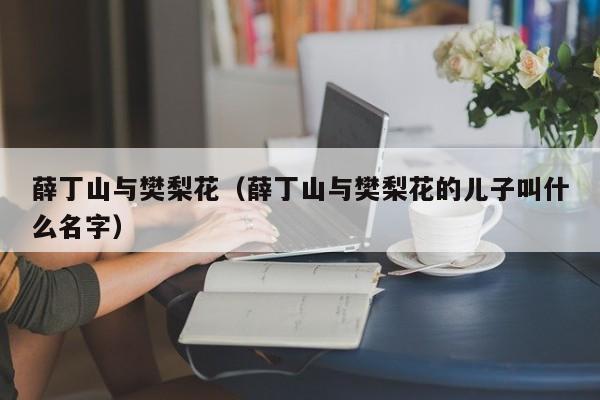 薛丁山与樊梨花（薛丁山与樊梨花的儿子叫什么名字）