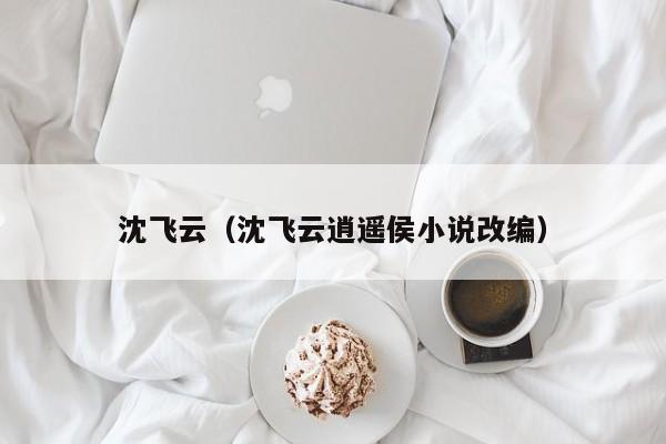 沈飞云（沈飞云逍遥侯小说改编）