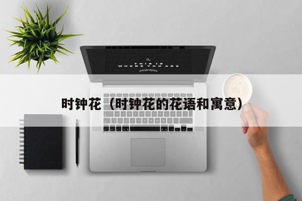 时钟花（时钟花的花语和寓意）