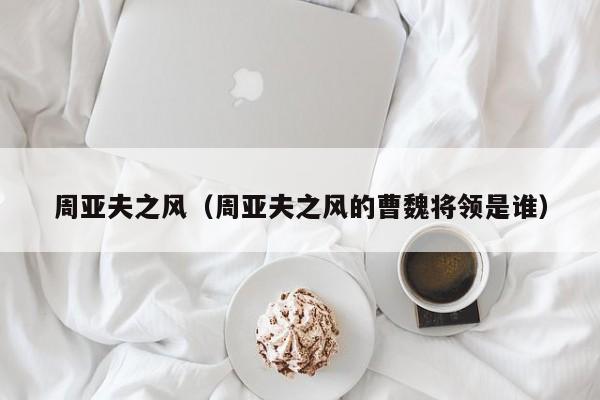 周亚夫之风（周亚夫之风的曹魏将领是谁）
