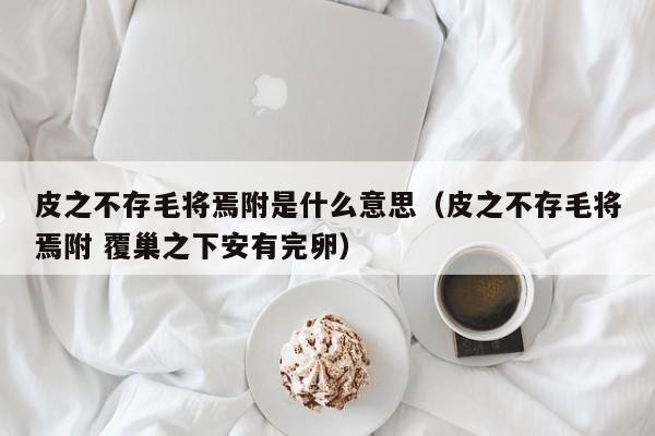 皮之不存毛将焉附是什么意思（皮之不存毛将焉附 覆巢之下安有完卵）