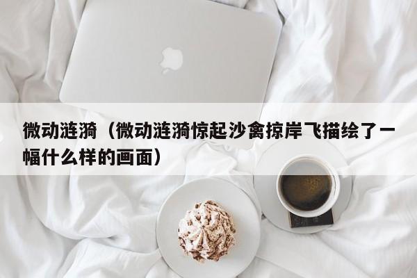 微动涟漪（微动涟漪惊起沙禽掠岸飞描绘了一幅什么样的画面）